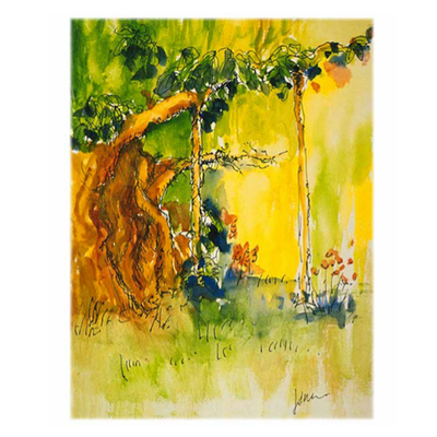 Banyon Tree