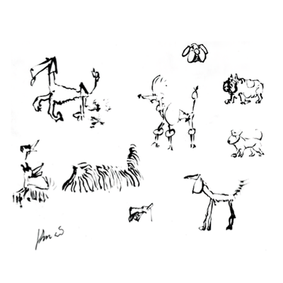Dog Studies