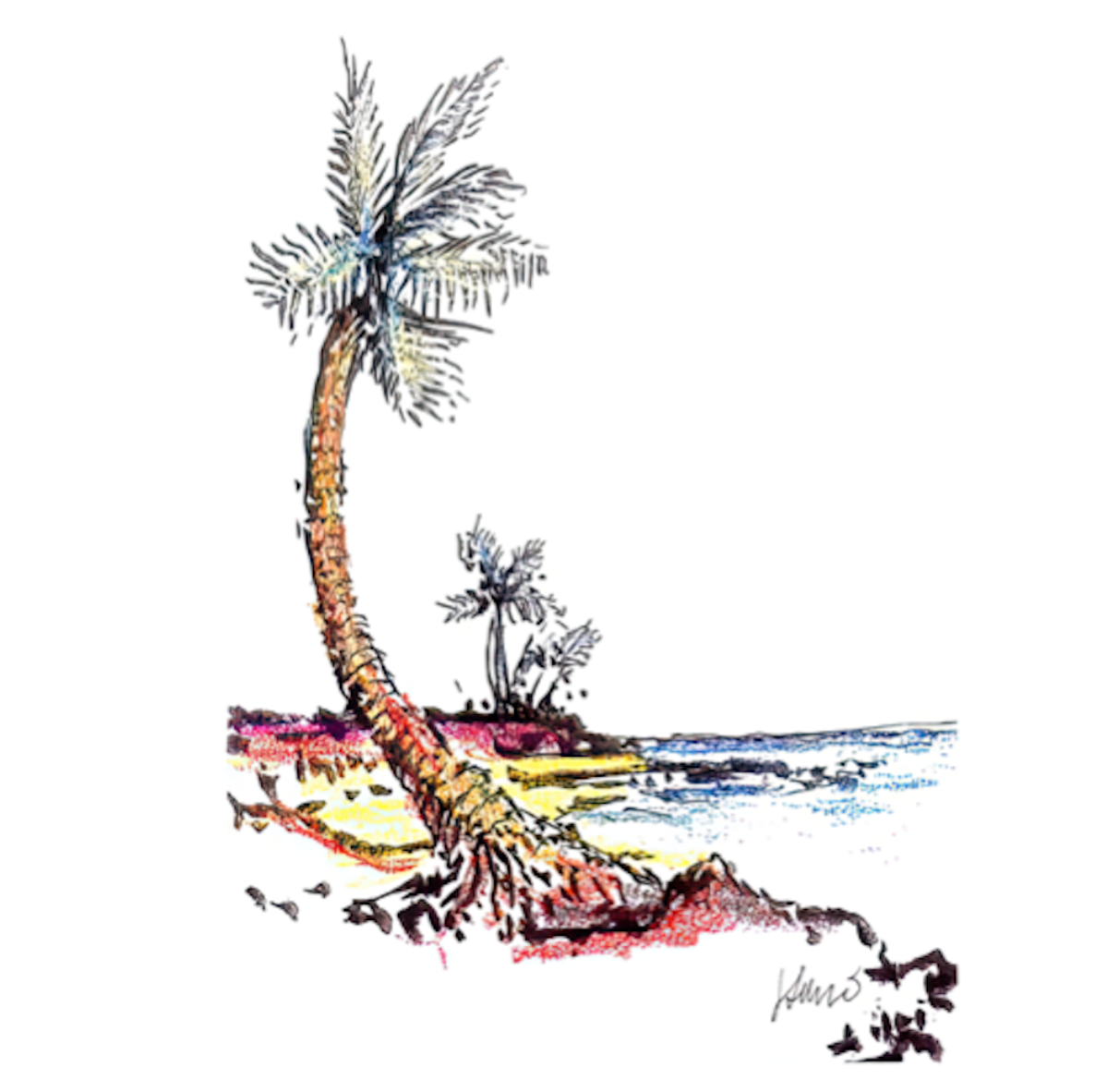 Palms
