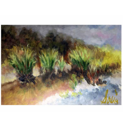 Crystal Springs