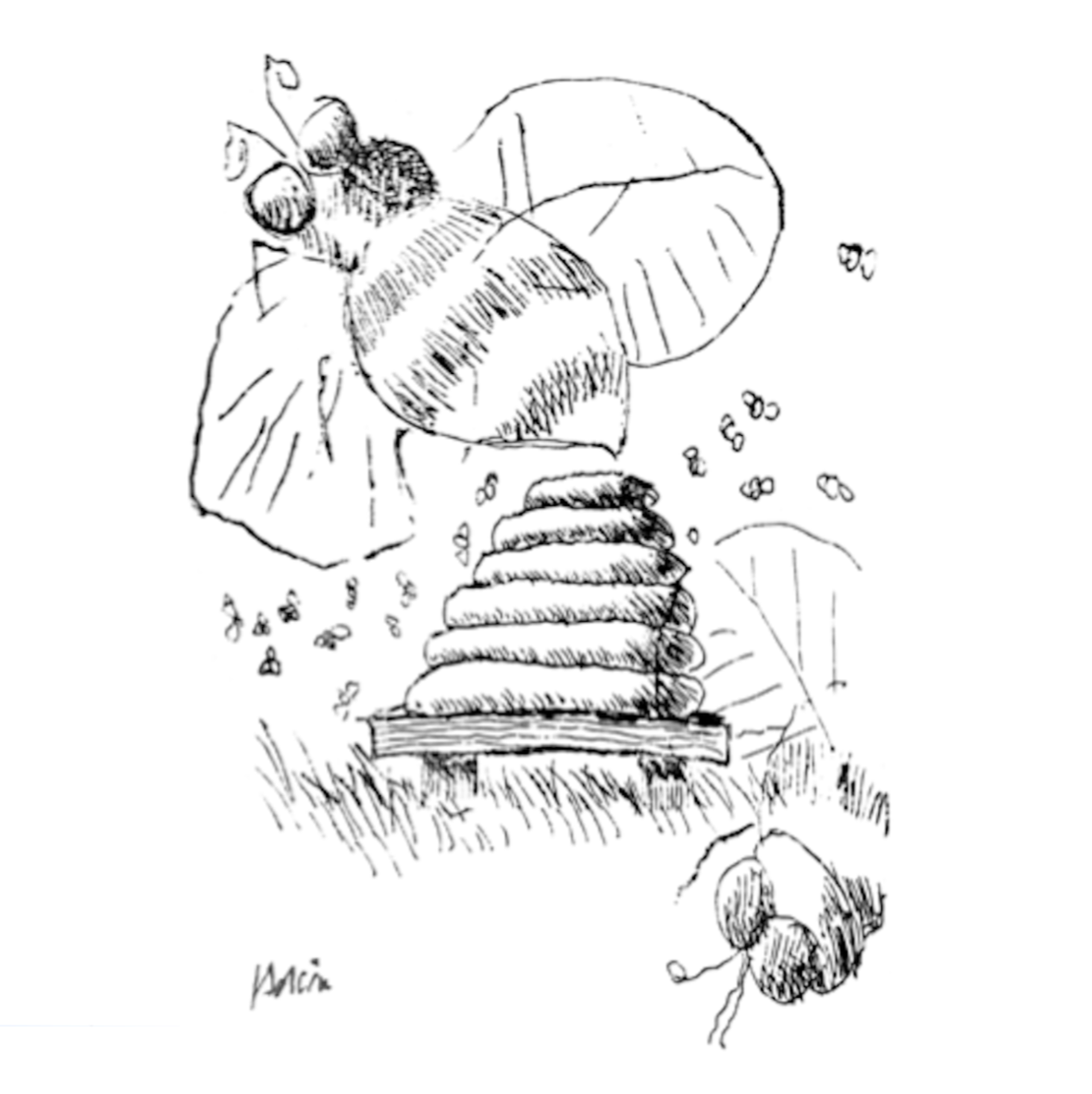 Honeybees