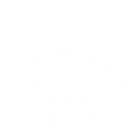 Vitalogy Foundation
